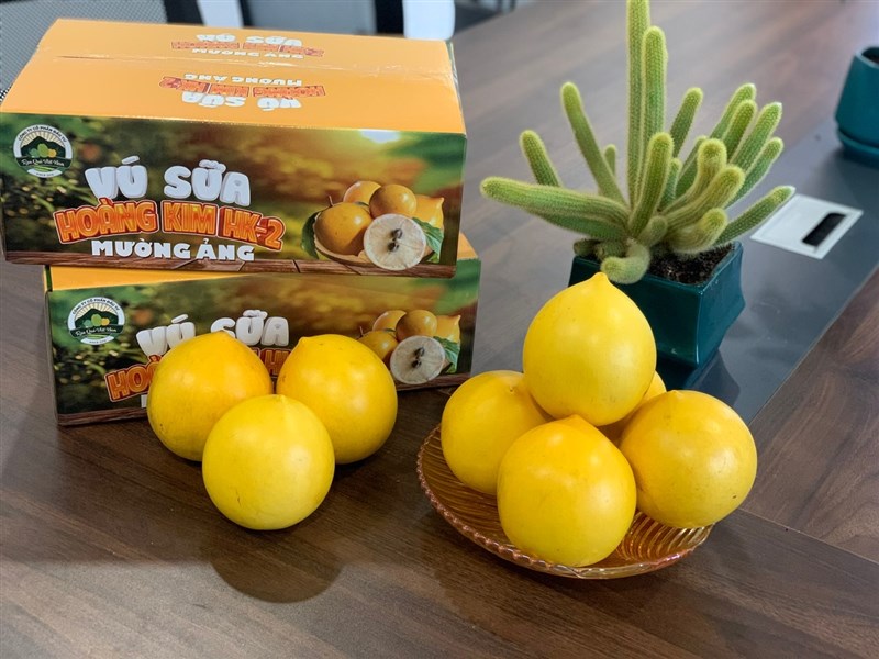 Câu chuyện Hoàng Toàn Farm