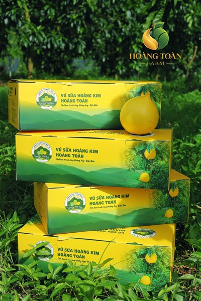 Mách bạn mẹo để mua vú sữa Hoàng Toàn chính hãng !