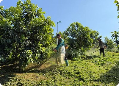 Canh tác tự nhiên
