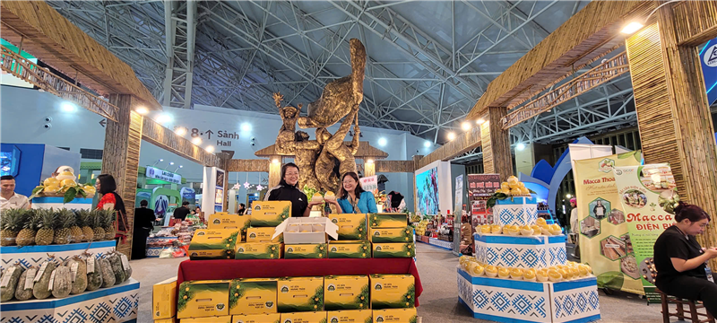 Hoàng Toàn Farm và khát vọng khẳng định đẳng cấp nông sản Việt qua dòng vú sữa HK-2