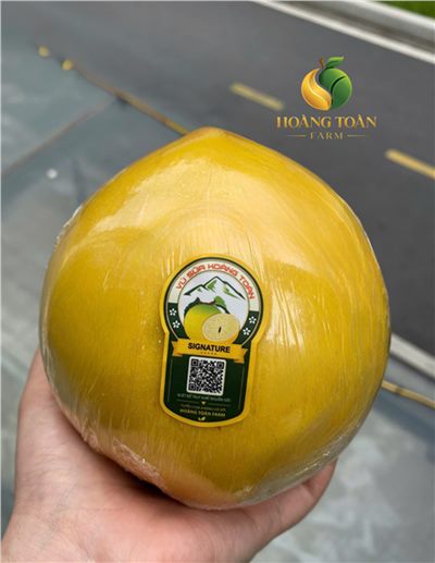 Mách bạn mẹo để mua vú sữa Hoàng Toàn chính hãng !