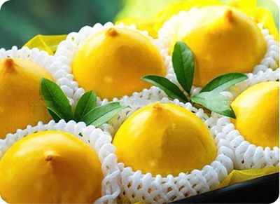 Vú sữa Hoàng Kim tiêu chuẩn 