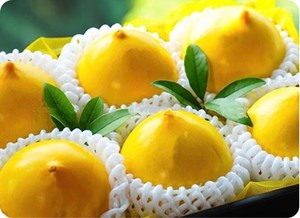 Vú sữa Lò Rèn