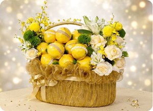Giỏ quà trái cây cao cấp