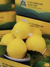 Vú sữa Hoàng Toàn Premium (Cao cấp)
